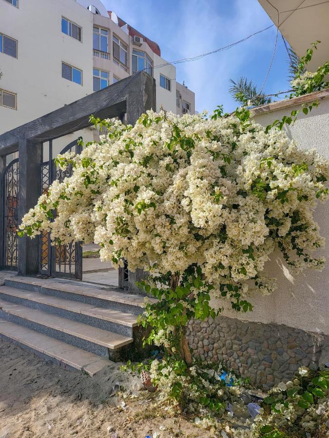 Apartments 1000 And 1 Night Redsealine Hurghada Exterior foto